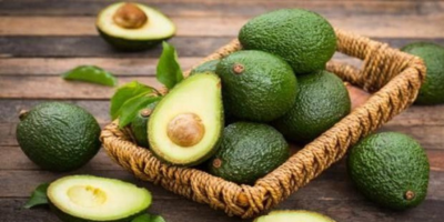 aguacate o palta